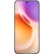  Vivo X300