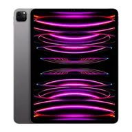 iPad Pro 12.9" 6th Gen (Wi-Fi Only)